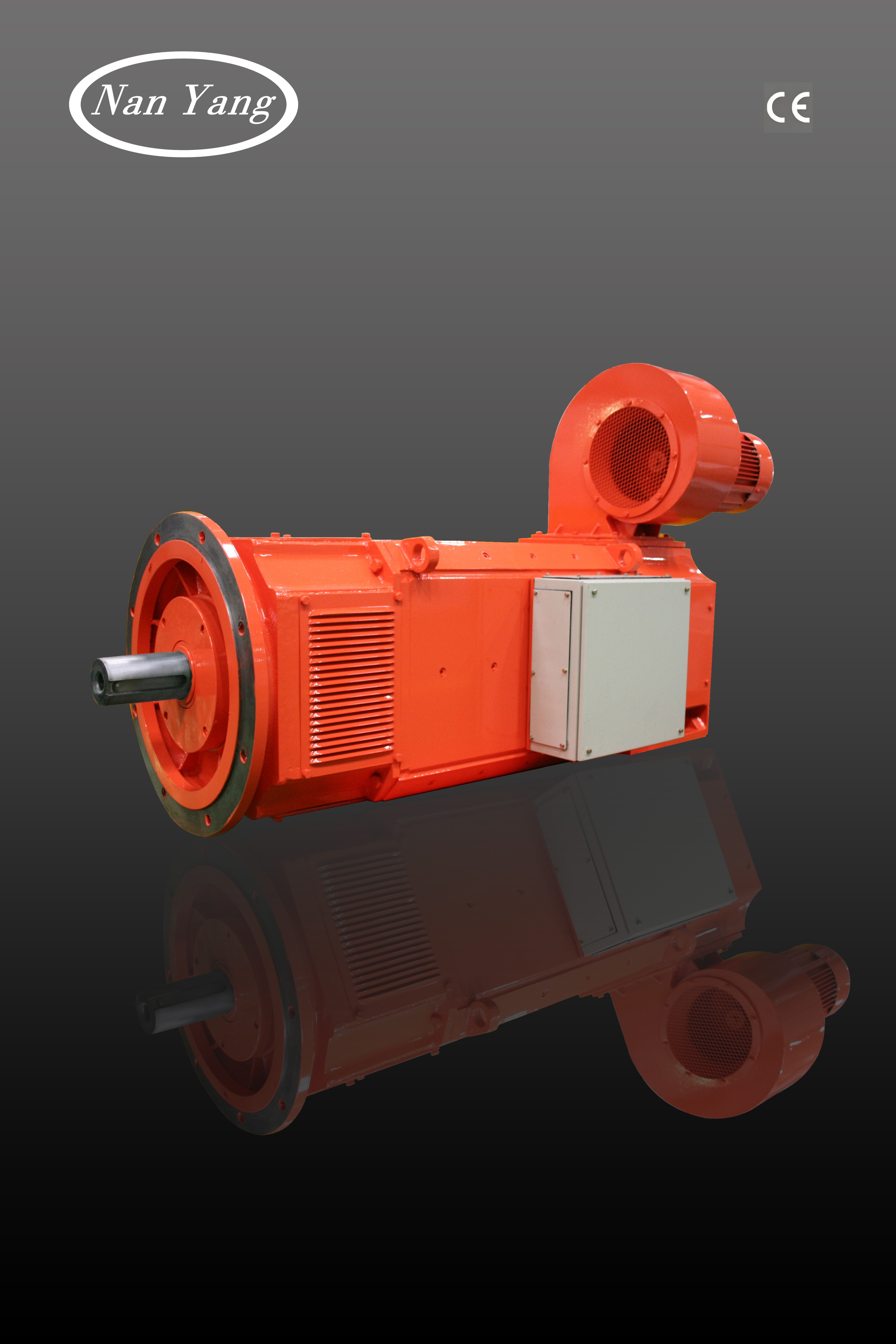 上海南洋电机