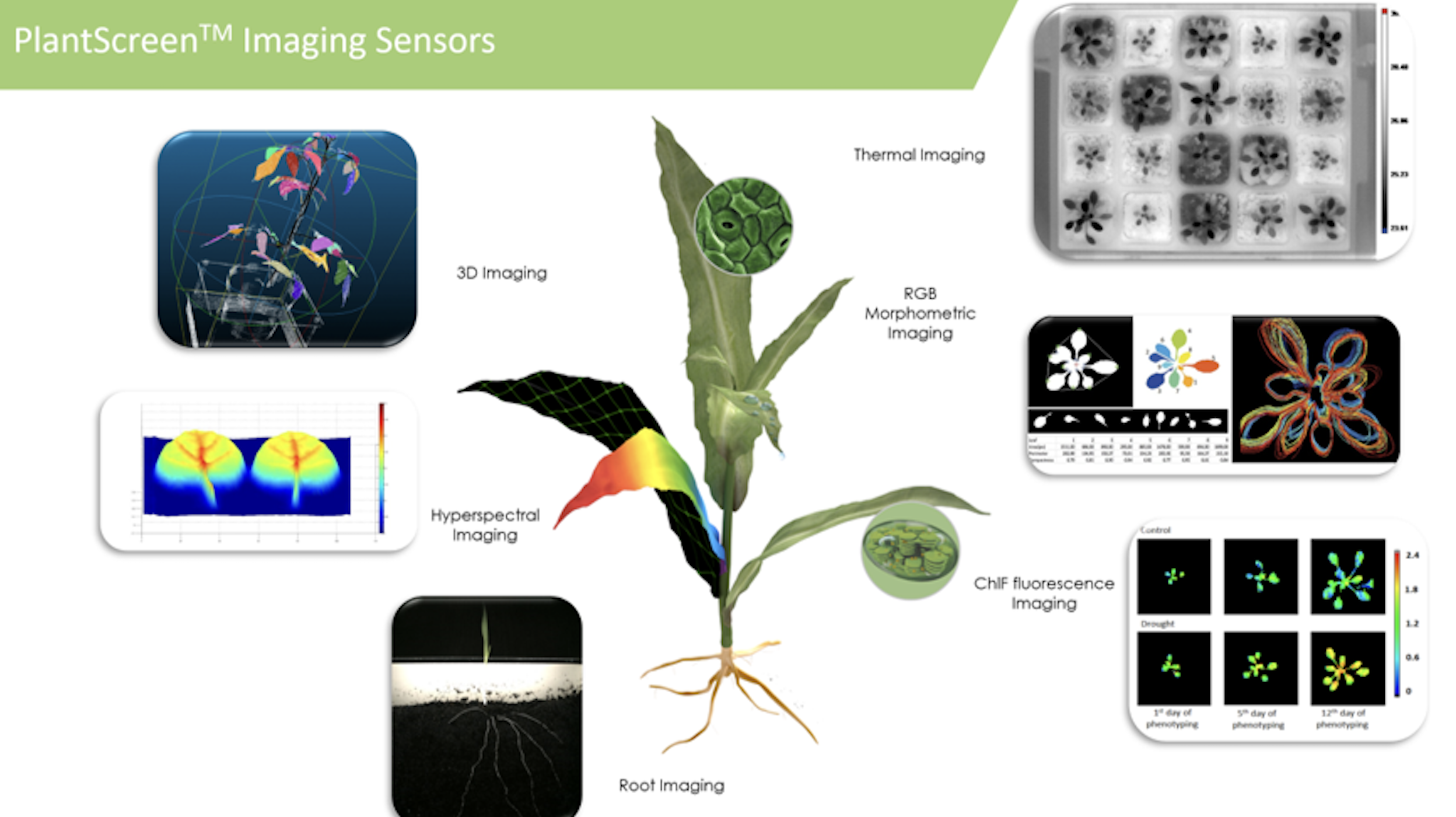 PlantScreen SC高通量植物表型成像分析系统